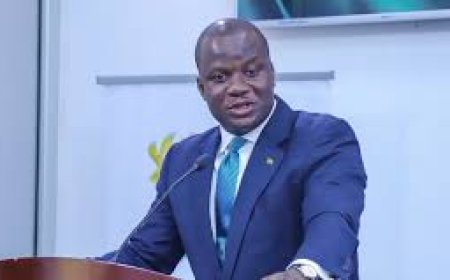 Parliament demands records of public lands from Lands Minister