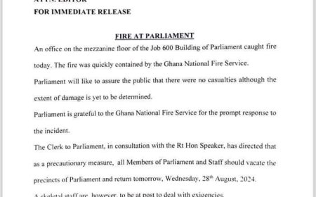 Confirmed: No Casualties Recorded in Job 600 Fire Incident - Parliament