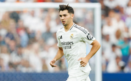 Brahim medical report