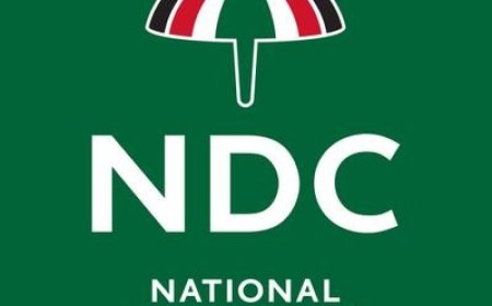 LEAKED: document on the strategy of the NDC to win the 2024 elections