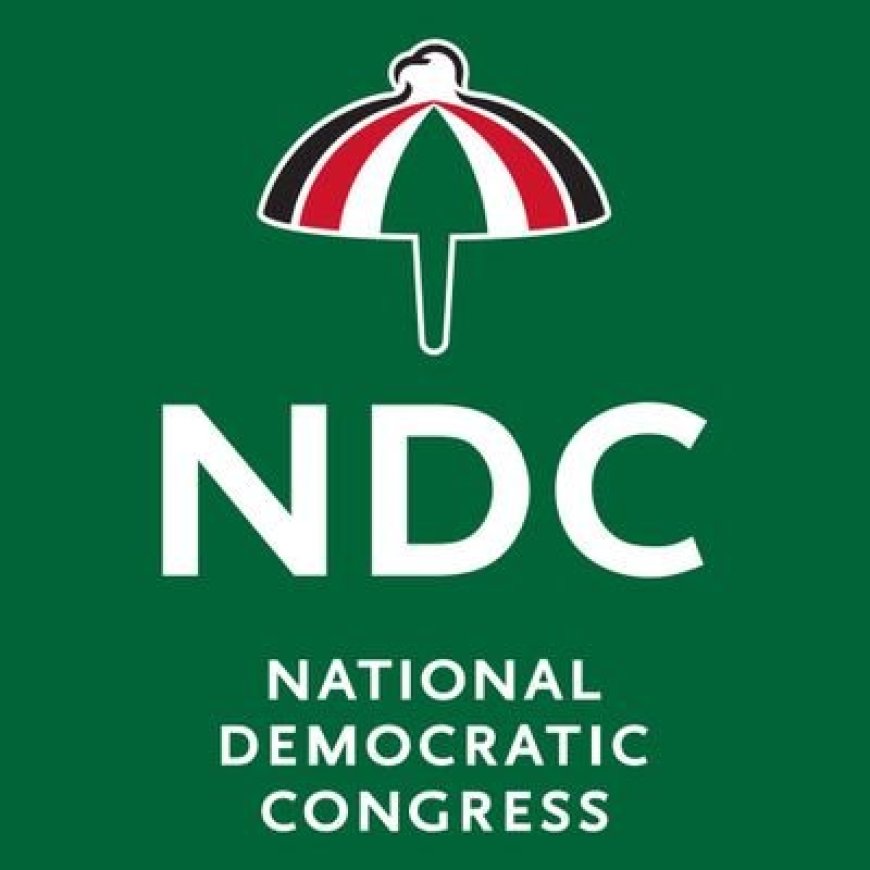 LEAKED: document on the strategy of the NDC to win the 2024 elections