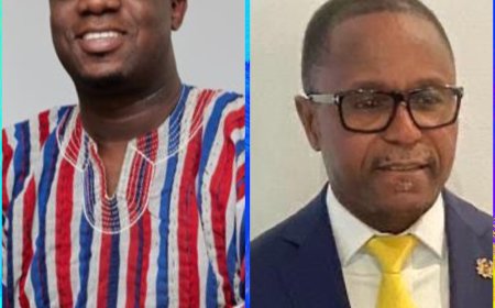 Tension in NPP: General Secretary Threatens NPP UK Chairman at National Council Meeting
