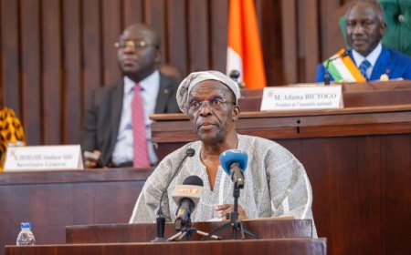 SPEAKER BAGBIN CALLS FOR PAN-AFRICANISM TO STRENGTHEN DEMOCRACY AND POLITICAL STABILITY