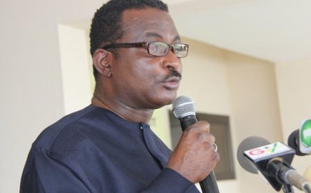 George Kweku Ricketts-Hagan, has been appointed as the new Deputy Majority Leader in Parliament