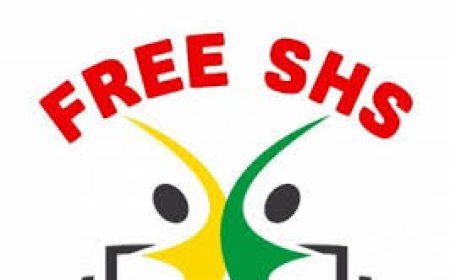 Should the FREE SHS policy be reviewed ?