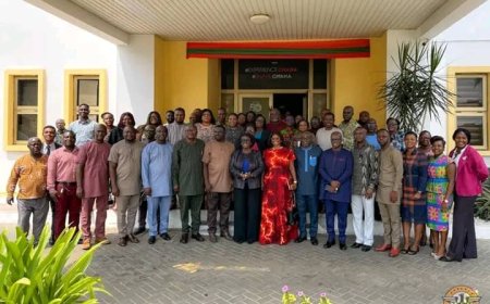 Hon. Abla Dzifa Gomashie Visits Three MOTCCA Agencies