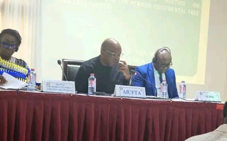 Hon. Abla Dzifa Gomashie Opens ECOWAS Consultative Meeting on Copyright Under AfCFTA