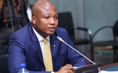 24 Hours Economy To begin From Passport Office - Okudzeto Ablakwa