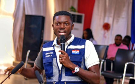 SONA 2025: A Speech of No Hope?  By Greater Accra MANDELA, Deputy Greater Accra Regional Youth Organizer, NPP