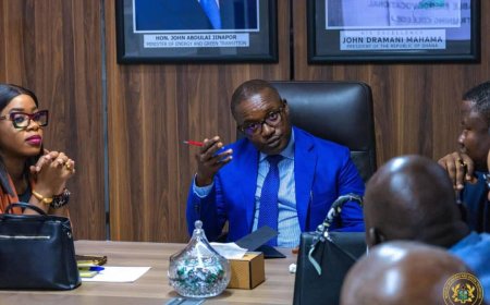 Turkish Firm Synergy to Establish Solar Panel Manufacturing Plant in Ghana