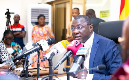 NPP Minority Holds Press Conference on 2025 Budget Statement