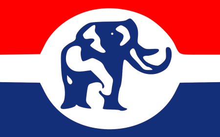 NPP Directs Members to Halt Media Discussions on Internal Party Disputes