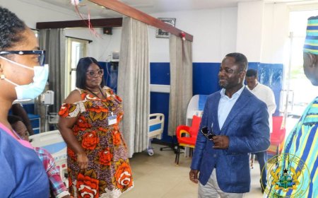 HEALTH MINISTER APPEALS TO STRIKING HEALTH WORKERS TO RETURN TO DUTY