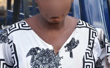 Woman Arrested in Wa for Baby stealing and Theft