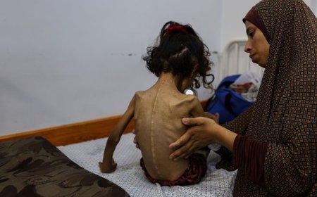 Famine Declared in Gaza as Over Half a Million Face Starvation