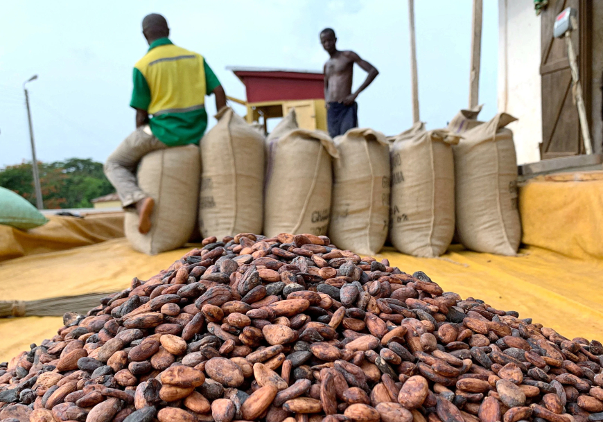 Government Increases Cocoa Producer Price to $5,040 per Tonne for 2025/2026 Season