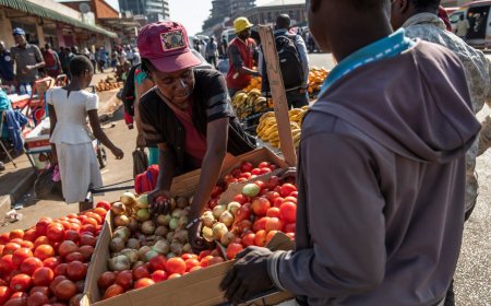 Zimbabwe Inflation Eases as Currency Reforms Gain Traction