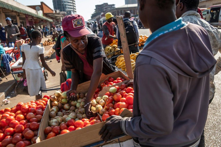 Zimbabwe Inflation Eases as Currency Reforms Gain Traction