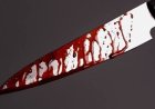 Woman Arrested for Stabbing Husband Over Dinner Dispute in Eastern Region