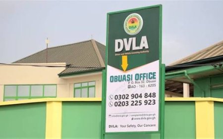 DVLA to Roll Out Biometric International Driver’s Licenses and Vehicle Permits in 2026
