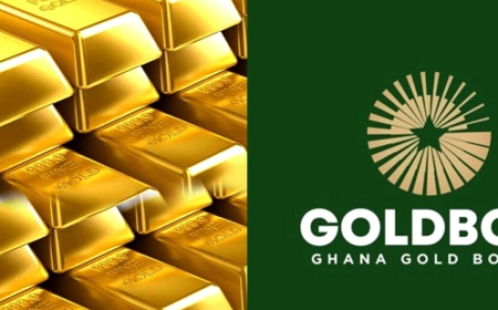 PMMC/GoldBod Generates Over $8 Billion in Foreign Exchange from Small-Scale Gold Exports