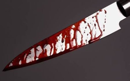Woman Arrested for Stabbing Husband Over Dinner Dispute in Eastern Region