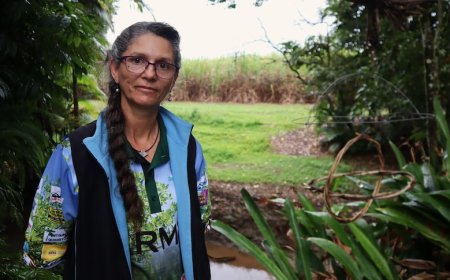 War on plastic banana bags underway along polluted Queensland creek