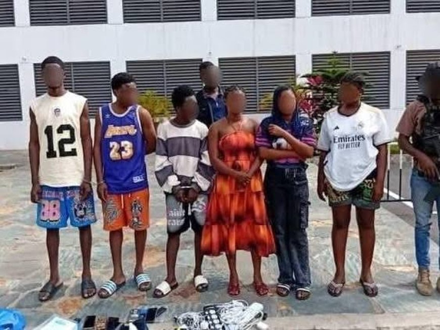 Ten Arrested Over Fake Online Food Delivery Scam in Ghana