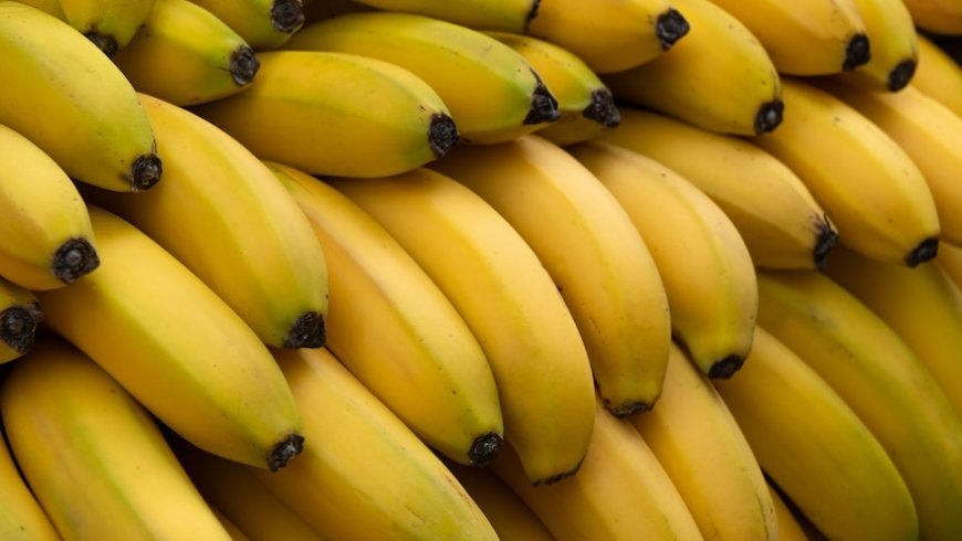 Could an Australian banana prevent a global crop collapse?
