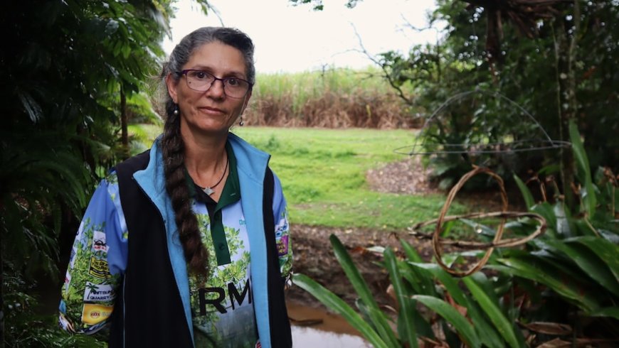 War on plastic banana bags underway along polluted Queensland creek
