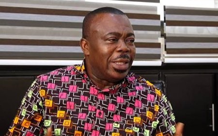 Asabee: “I Know the NPP Enough to Diagnose Its Challenges”