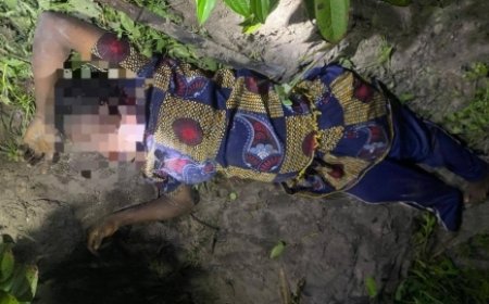 Pregnant Woman Found Dead with her throat slit on Farm in Dormaa West