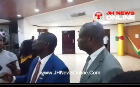 MINORITY AND MAJORITY CLASH OVER LITHIUM AGREEMENT DEAL IN PARLIAMEN