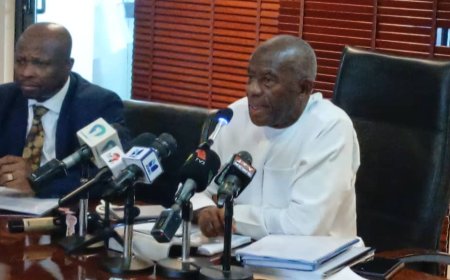 MAJORITY CAUCUS PUSHES FOR PUBLIC ENGAGEMENT AS PARLIAMENT REVIEWS GHANA'S LITHIUM DEAL.