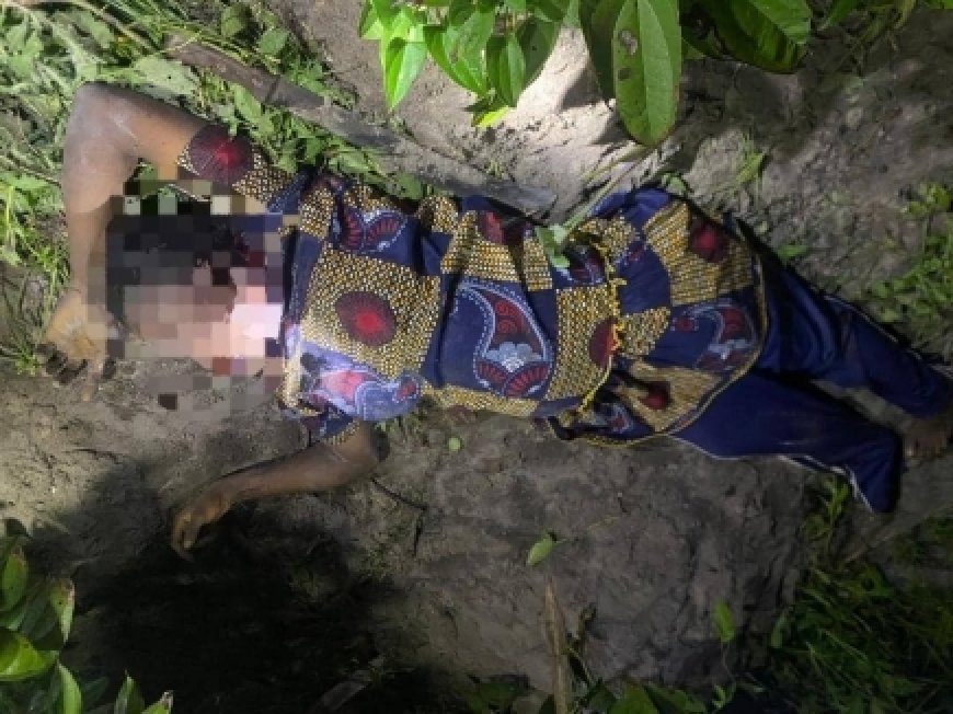 Pregnant Woman Found Dead with her throat slit on Farm in Dormaa West