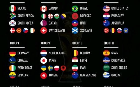 Fifa has finally made each and every country sees their stands after the world cup draw today
