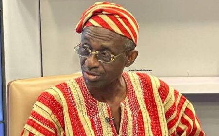 NDC Rejects Any Move Toward Third Presidential Term