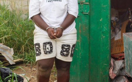 NACOC Arrests Alleged Drug Queen in Budumburam Raid