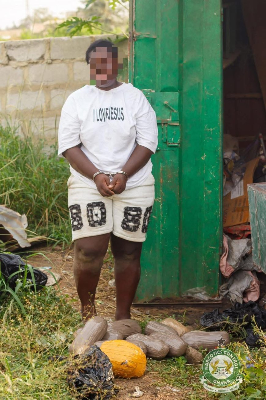 NACOC Arrests Alleged Drug Queen in Budumburam Raid