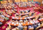 PARLIAMENT PASSES 24 HOUR ECONOMY BILL.