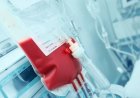 Jehovah’s Witnesses Ease Rules on Blood Transfusions
