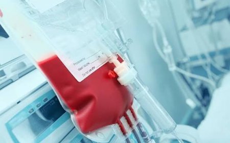 Jehovah’s Witnesses Ease Rules on Blood Transfusions