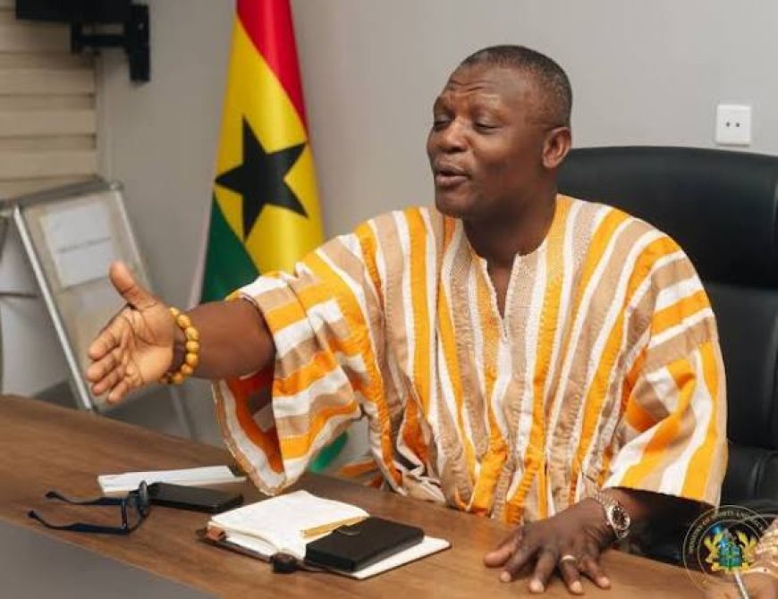 Sports Ministry Denies Sponsoring Fans for Black Stars Friendly in Germany