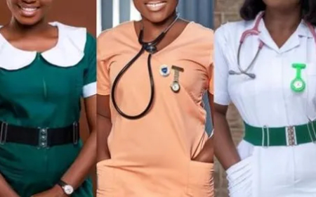 Health Ministry Completes Posting of 6,245 Nurses and Midwives Nationwide