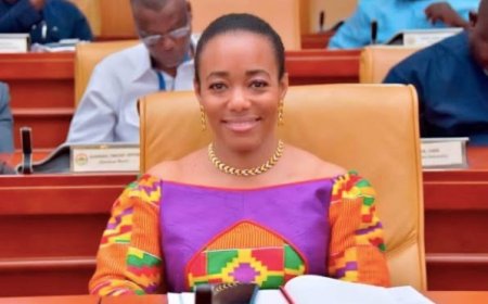 PAN AFRICAN PARLIAMENT REQUESTS MINISTERIAL BENEFITS FOR HON. DR. ZENATOR AGYEMAN RAWLINGS