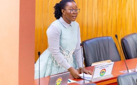 ABKLEKUMA NORTH MP URGES GHANA TO PROTECT RIGHTS AND HEALTH OF PERSONS WITH ALBINISM