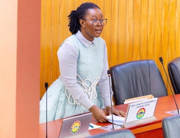 ABKLEKUMA NORTH MP URGES GHANA TO PROTECT RIGHTS AND HEALTH OF PERSONS WITH ALBINISM