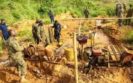 Illegal Miners Return to Forest Reserves With New Machines as Forestry Commission Shifts Strategy