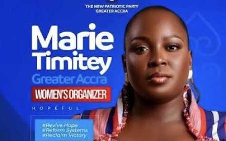 NPP Must End Internal Division to Rebuild for 2028  -  Marie Timitey Writes