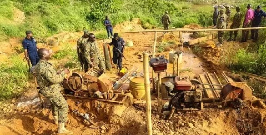 Illegal Miners Return to Forest Reserves With New Machines as Forestry Commission Shifts Strategy
